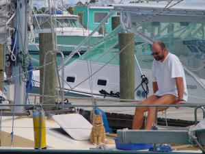 Tiger checkt die Marina