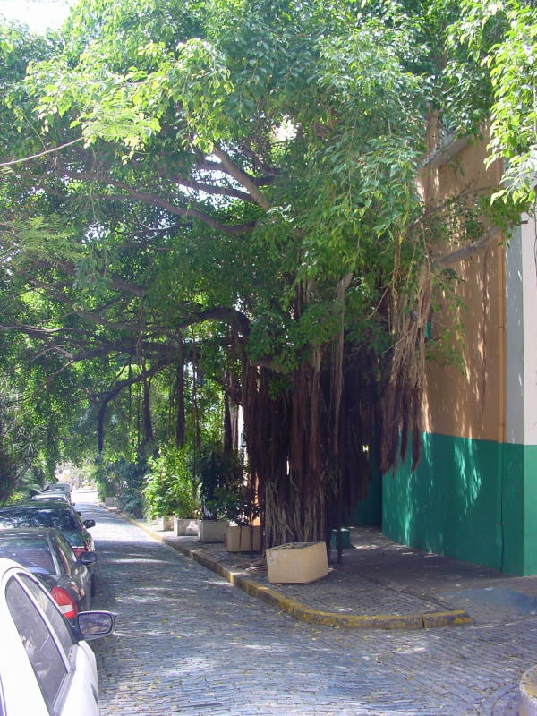 anklicken, Ansicht 600x800pix